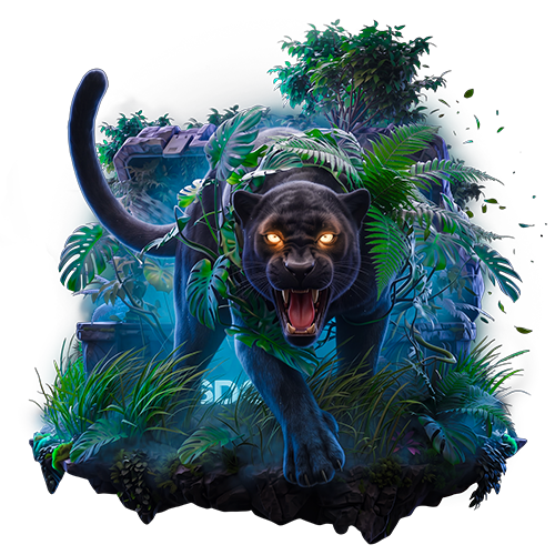 Big cats